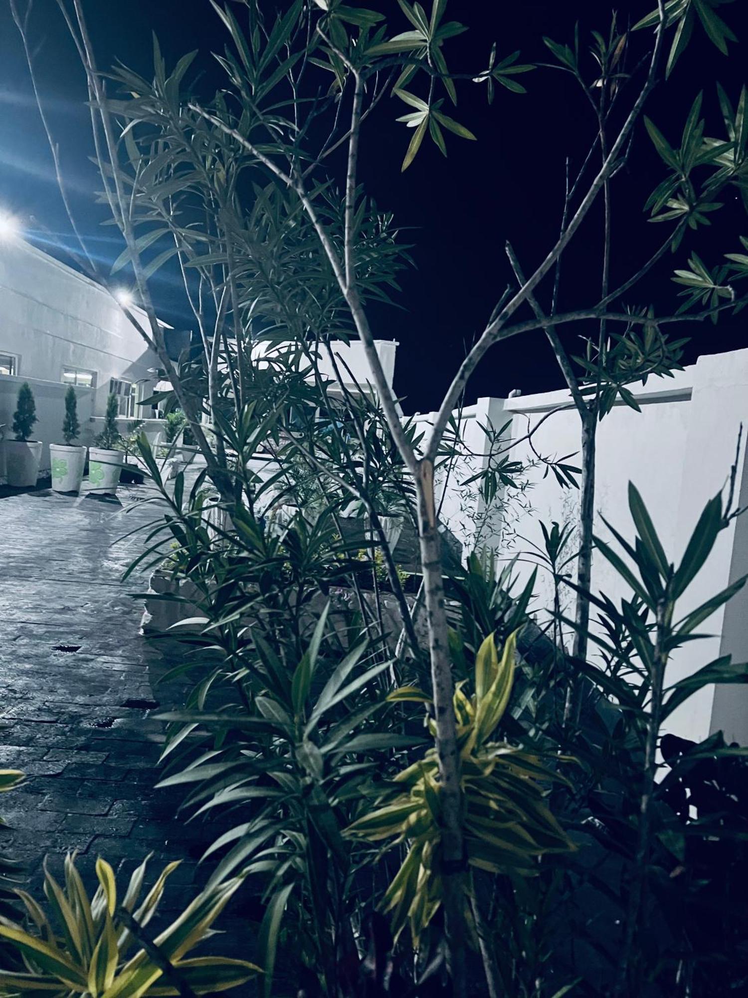 Los Guacamayos La Ceiba Exterior foto